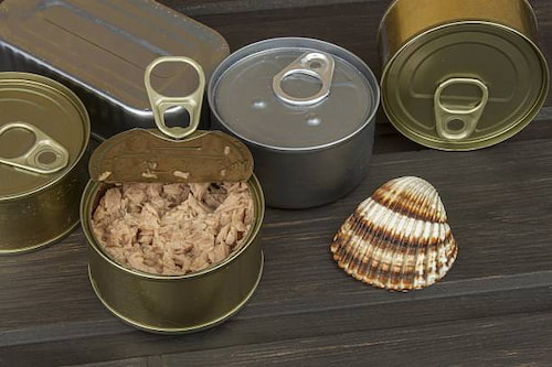 خرید ویژه تن ماهی